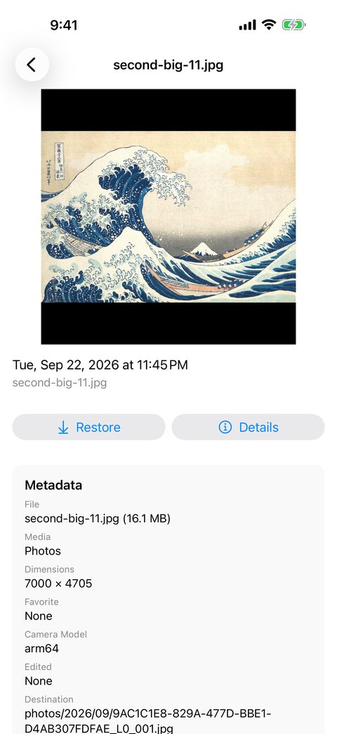 Photo detail and metadata