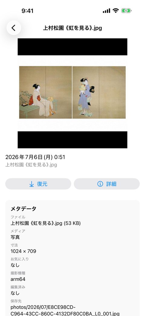 写真の詳細とメタデータ